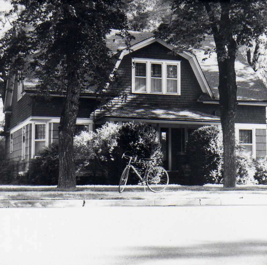 Image 61